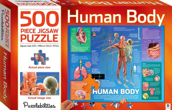 BoP Human Body Puzzle